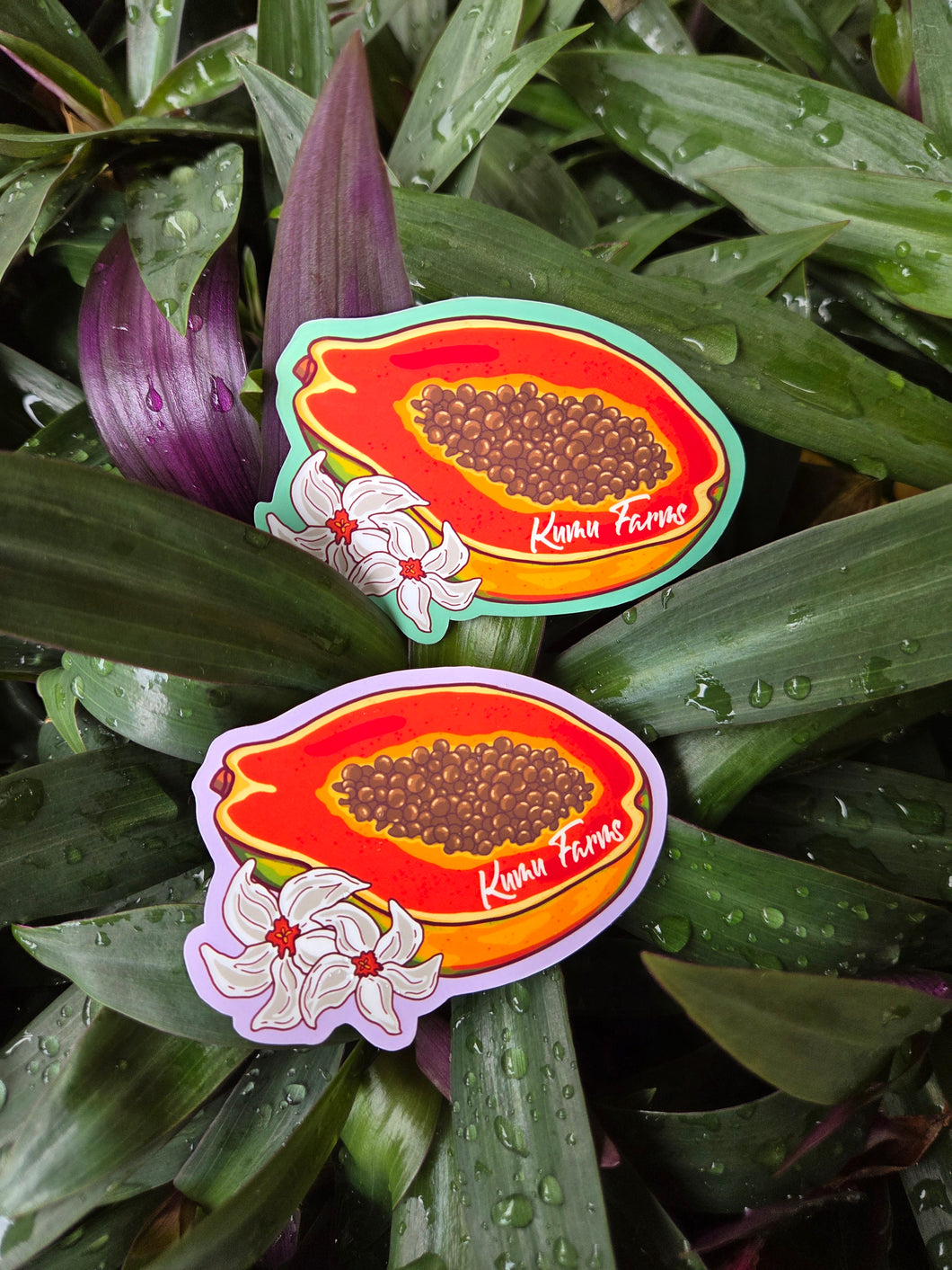 Kumu Farms Sticker