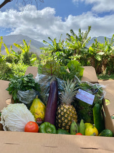 Market Box - Mixed Fresh Produce