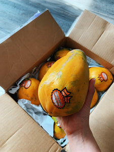 SunRise Papaya - Conventional & GMO Free