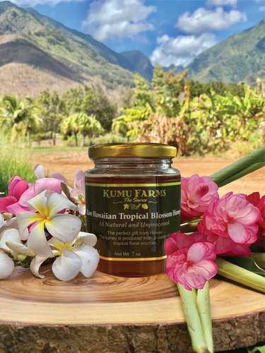 Raw Hawaiian Tropical Blossom Honey - KFarms