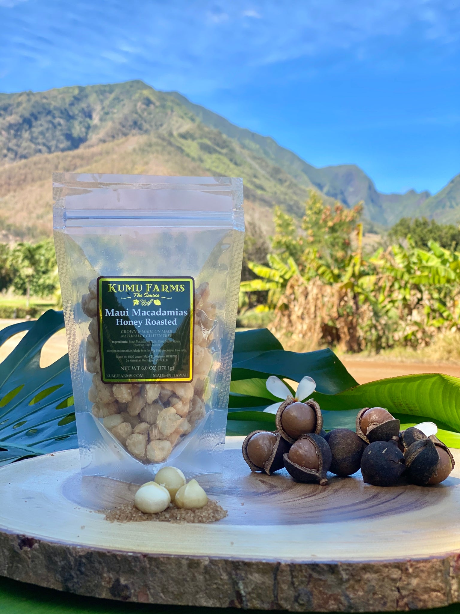 Maui Macadamia Nuts - Honey Roasted – Kumu Farms Maui